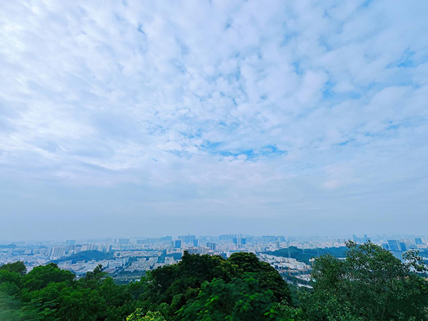 登山团建丨携手共进  勇攀高峰